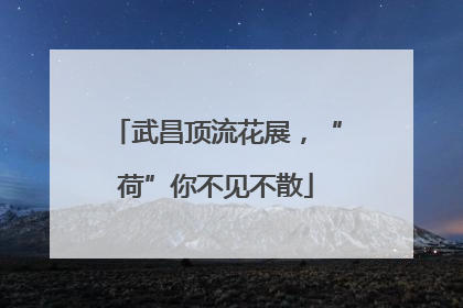 武昌顶流花展，“荷”你不见不散